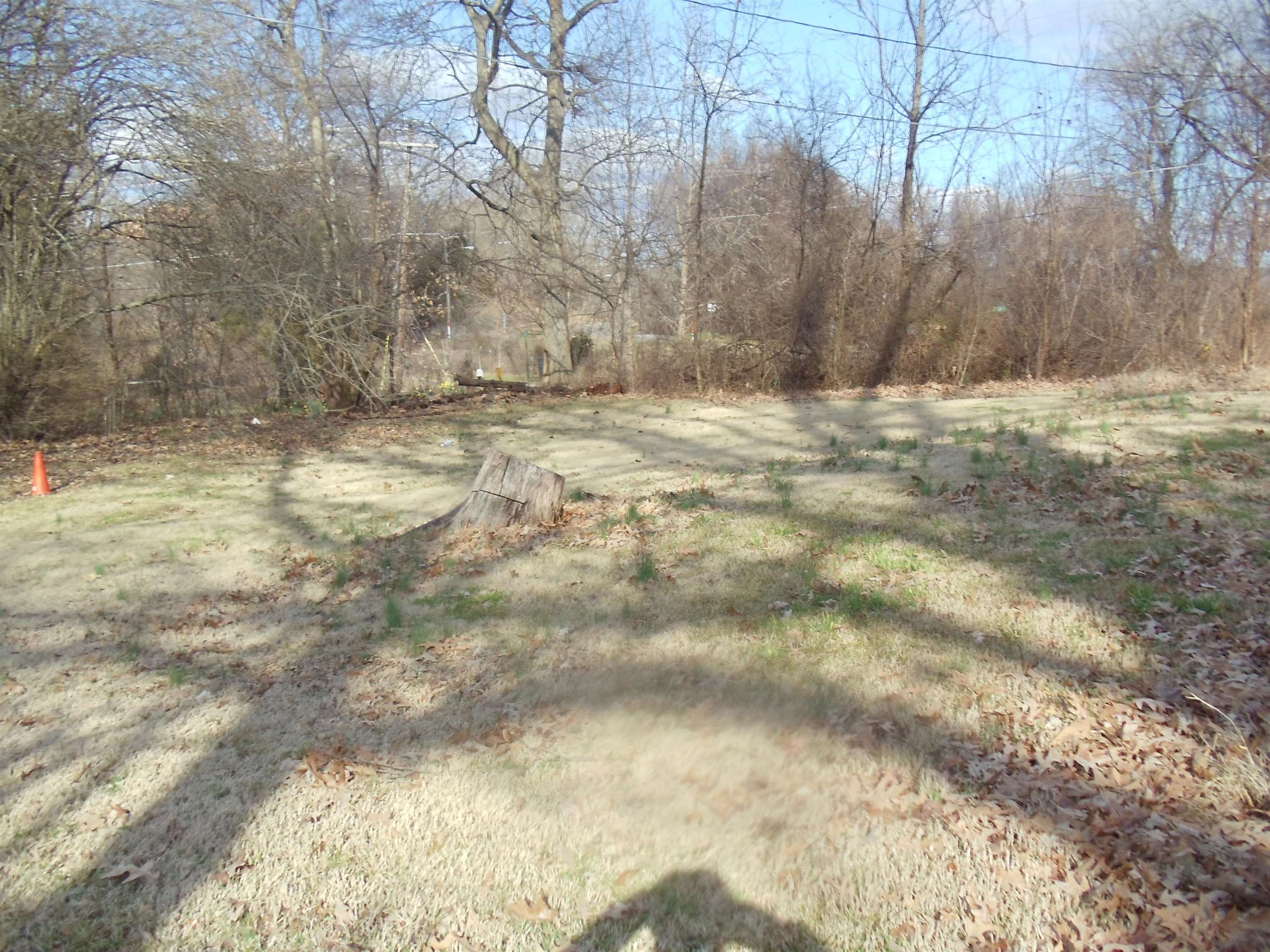 262 Lake Drive Ripley, TN 38063 - Photo 24 of 25 a view of yard covered with snow