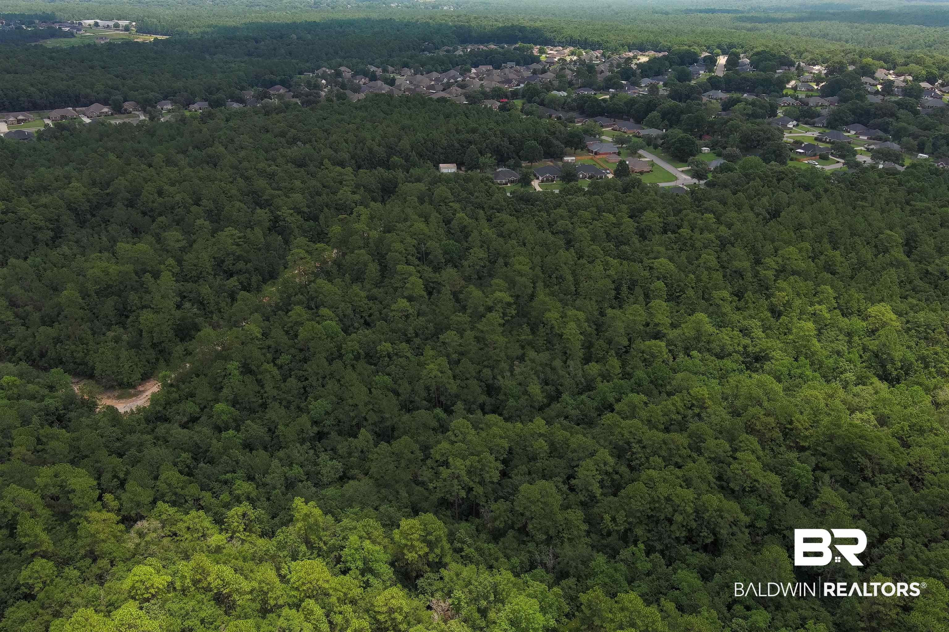 0 Schillinger Road Mobile, AL 36619 - Photo 4 of 25