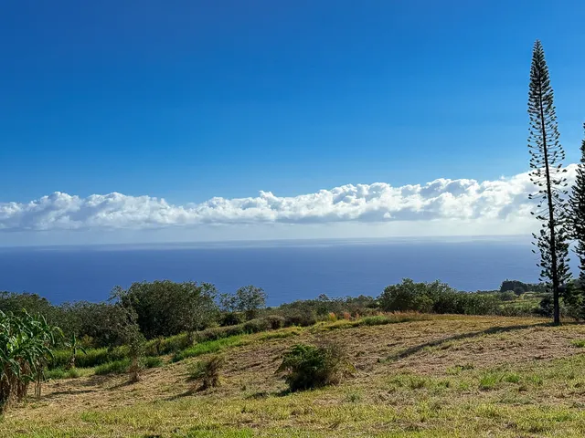 a view of lake with sunset