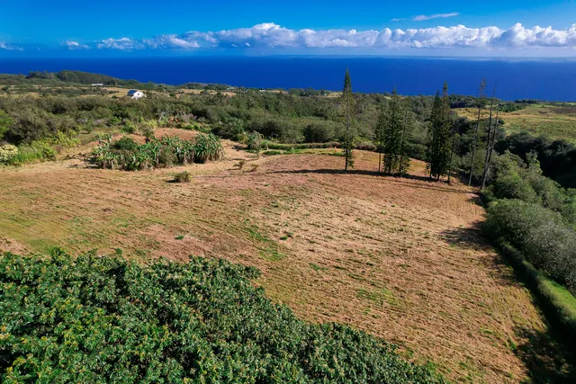 a view of a yard with sunset view