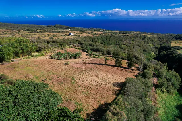 a view of a yard with an ocean