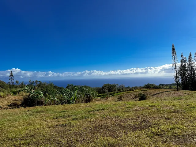 a view of a lake with sunset