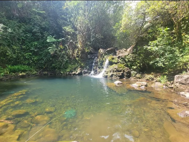 a view of a lake from a yard