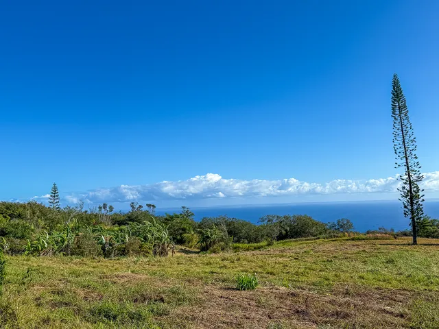 a view of a big yard with swimming pool and green space