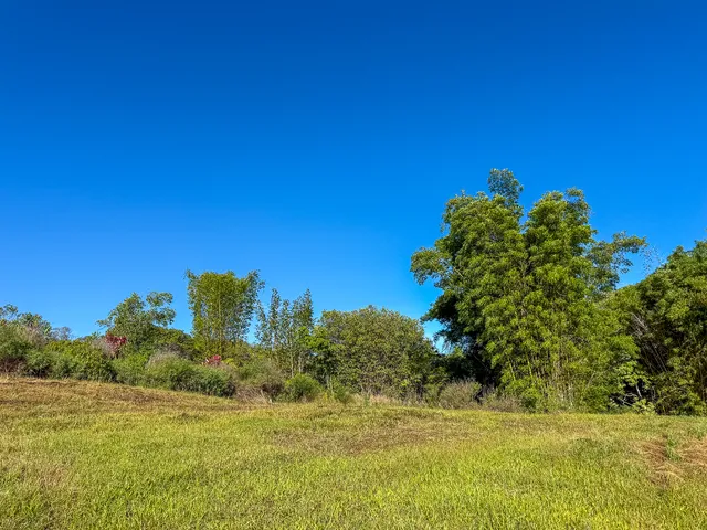 $425,000 | 32-2471 Stone Road, Laupahoehoe, HI 96764