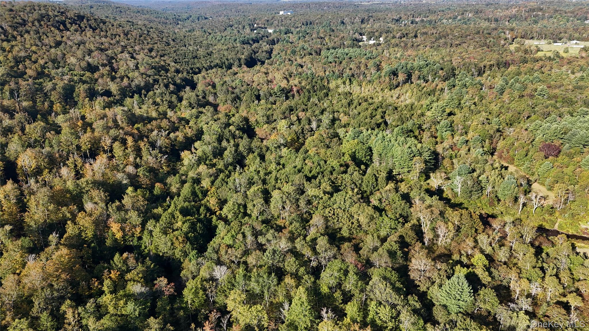 Town Park Road Monticello, NY 12701 - Photo 1 of 12 Aerial view of property and surrounding area featuring a heavily wooded area