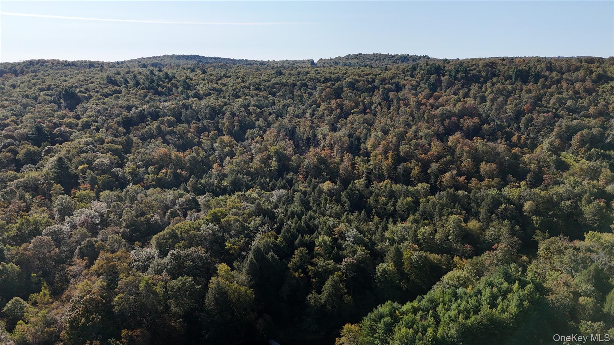 Town Park Road Monticello, NY 12701 - Photo 12 of 12 Aerial view
