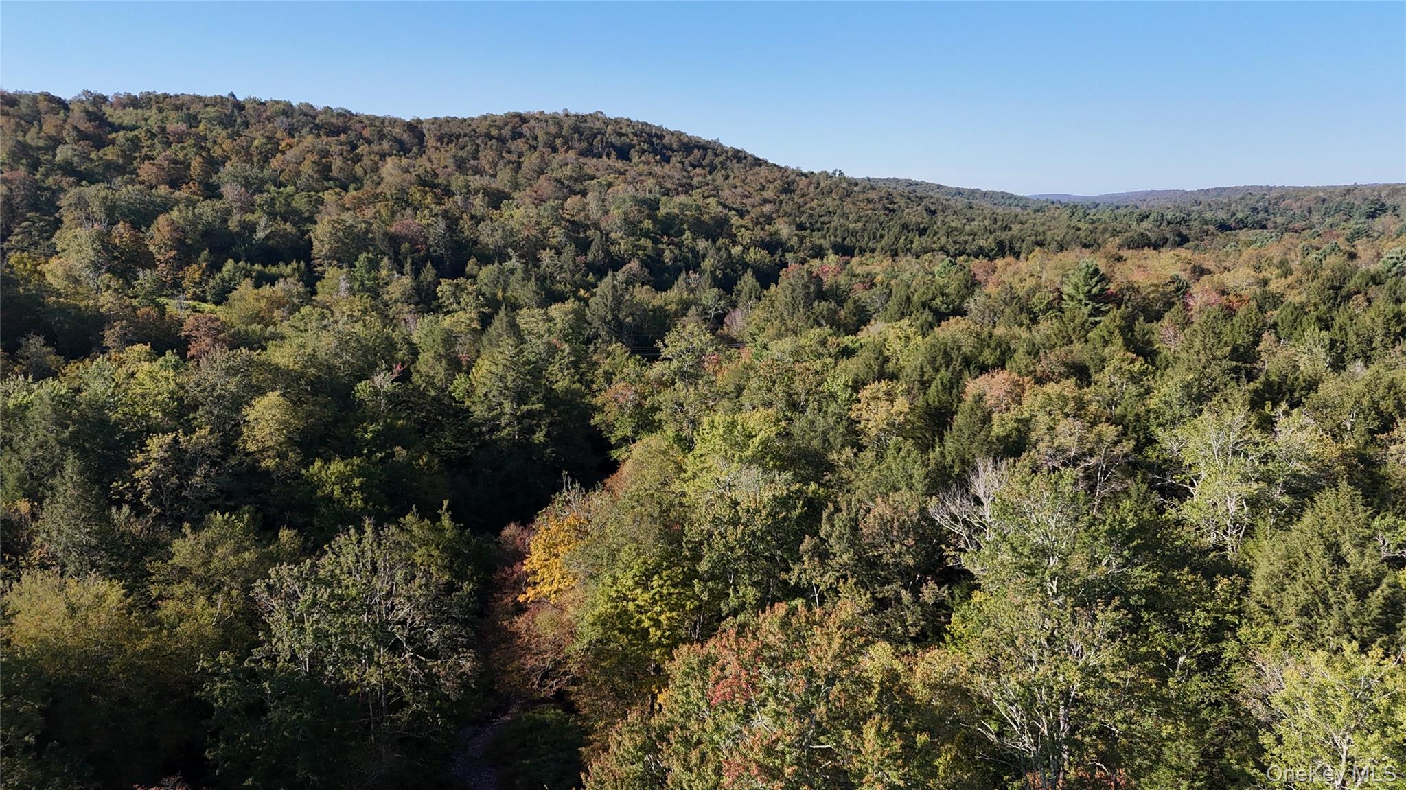 Town Park Road Monticello, NY 12701 - Photo 2 of 12 Mountain view featuring a forest