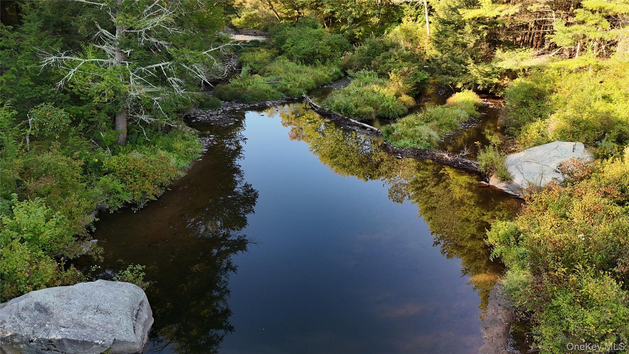 Town Park Road Monticello, NY 12701 - Photo 4 of 12 Drone / aerial view of a tree filled landscape and a large body of water