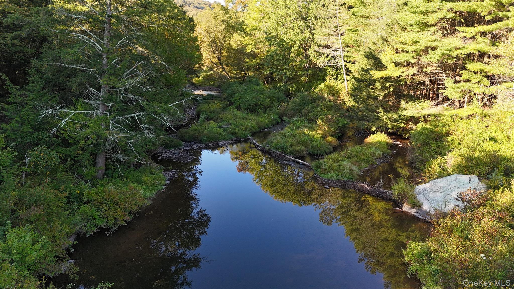 Town Park Road Monticello, NY 12701 - Photo 5 of 12 View of property location
