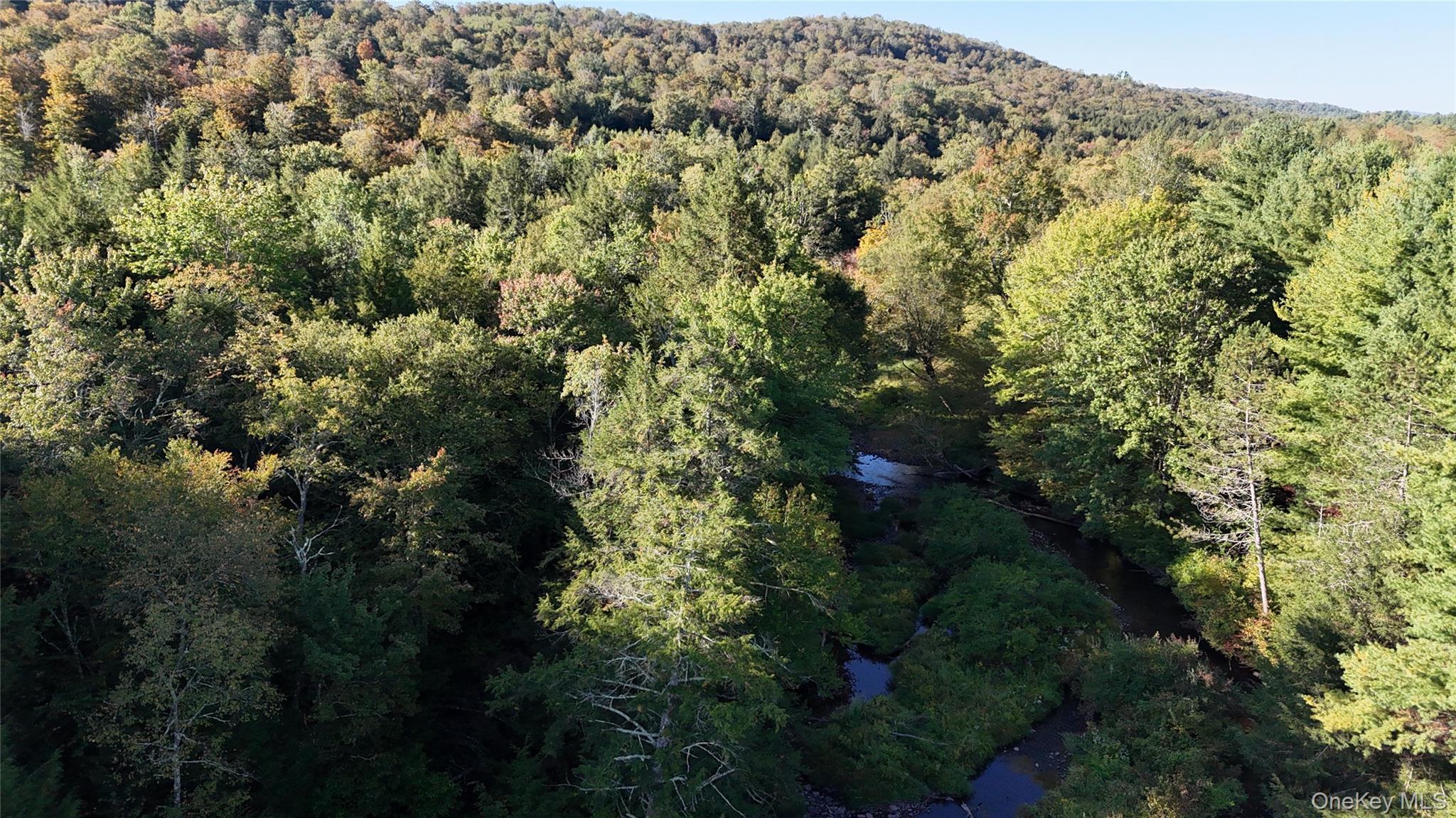 Town Park Road Monticello, NY 12701 - Photo 6 of 12 Aerial overview of property's location featuring a large body of water