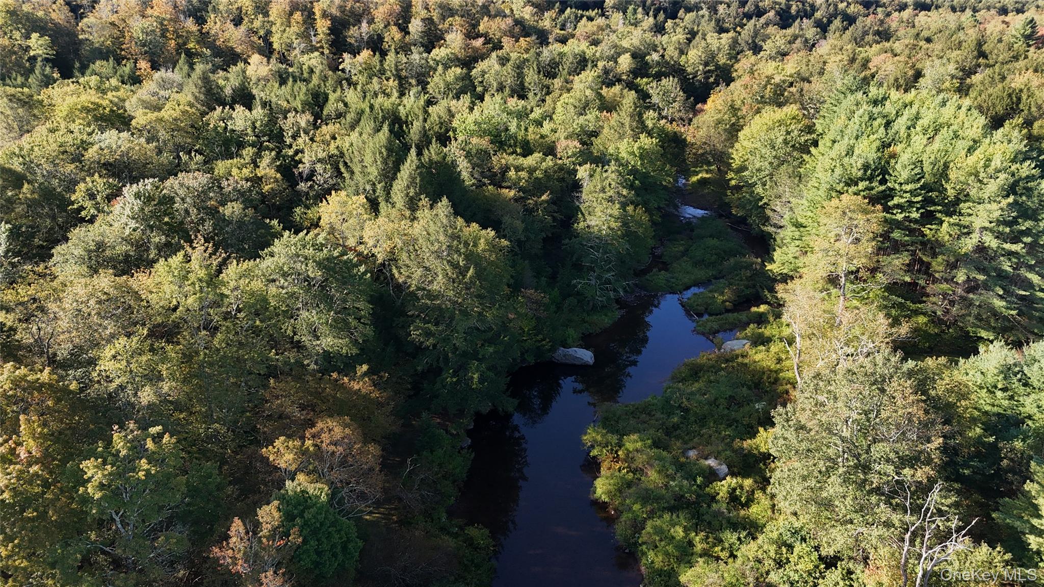 Town Park Road Monticello, NY 12701 - Photo 7 of 12 Aerial overview of property's location with a nearby body of water