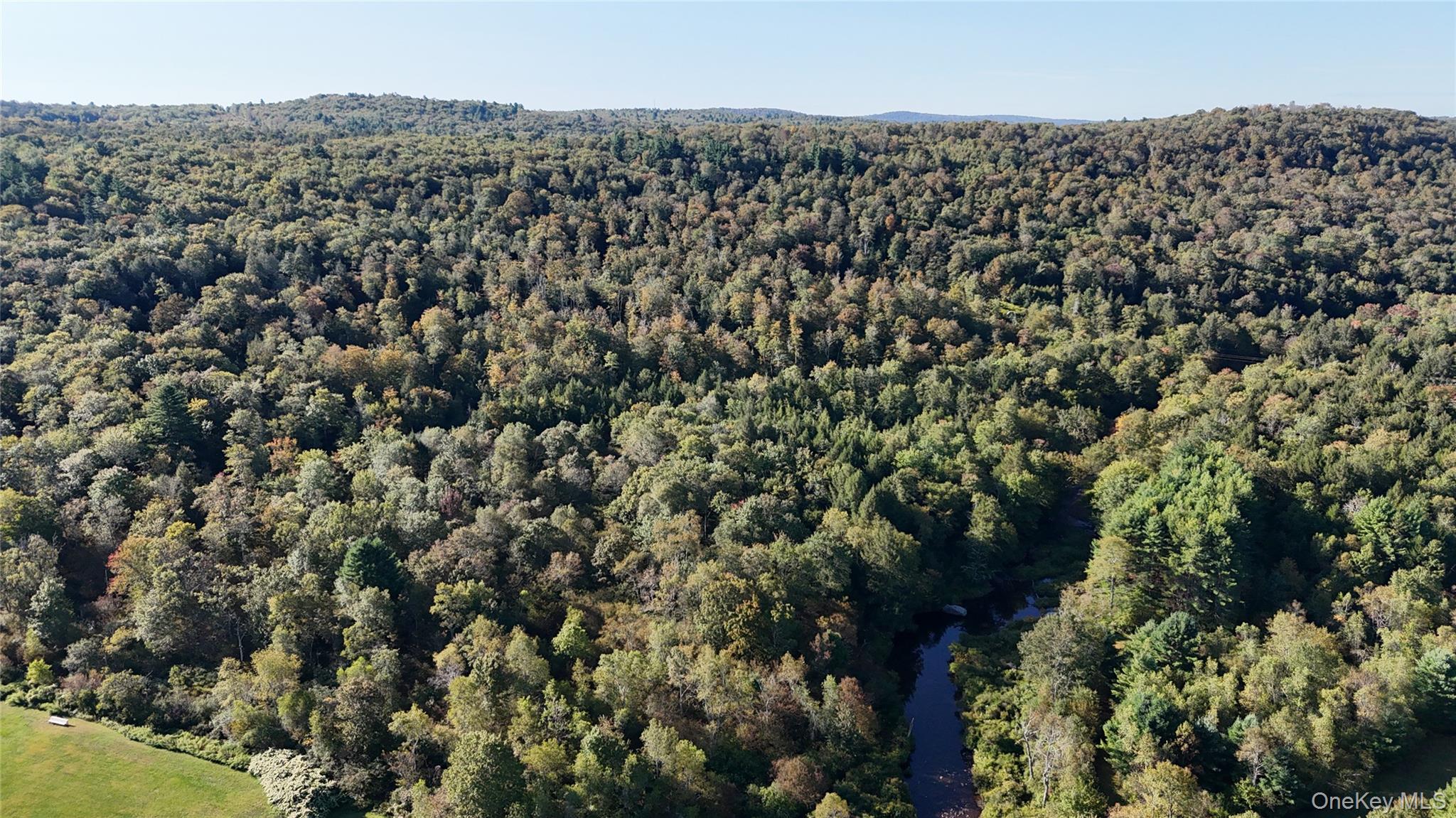 Town Park Road Monticello, NY 12701 - Photo 8 of 12 Bird's eye view