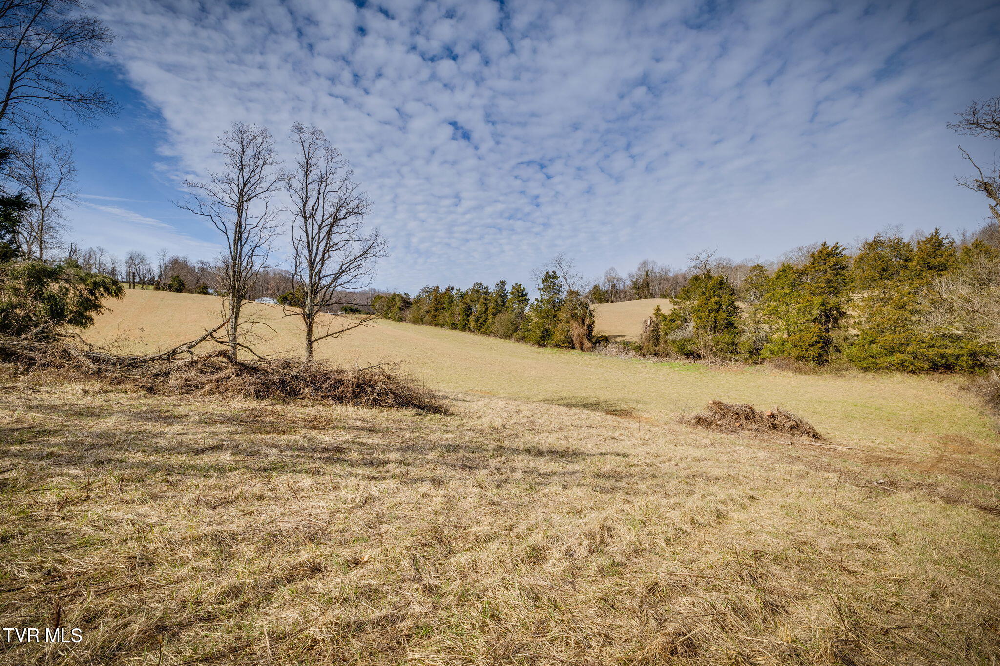 Tbd Haw Ridge Road, Unit 1 Piney Flats, TN 37686 - Photo 14 of 15 103