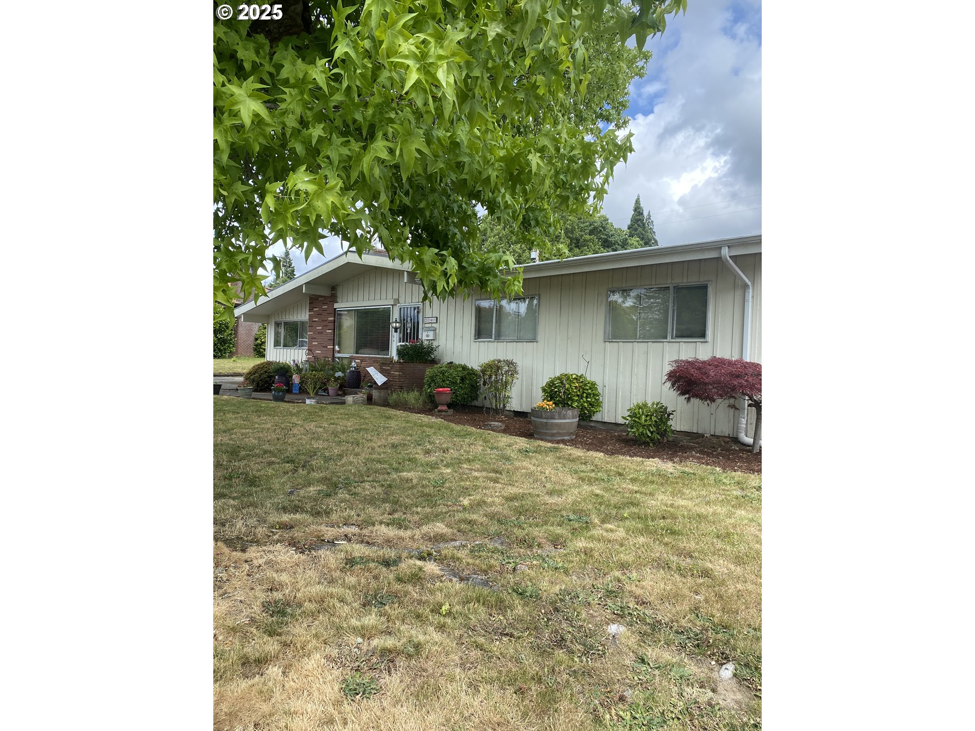2743 15th Place Forest Grove, OR 97116 - Photo 4 of 45 Yard