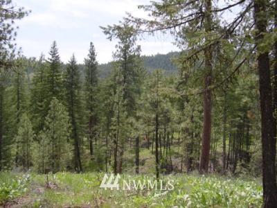 1 Nighthawk Ridge Road Winthrop, WA 98862 - Photo 1 of 1 Gallery Image 1