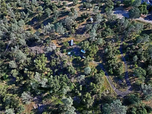 a view of outdoor space and covered with trees
