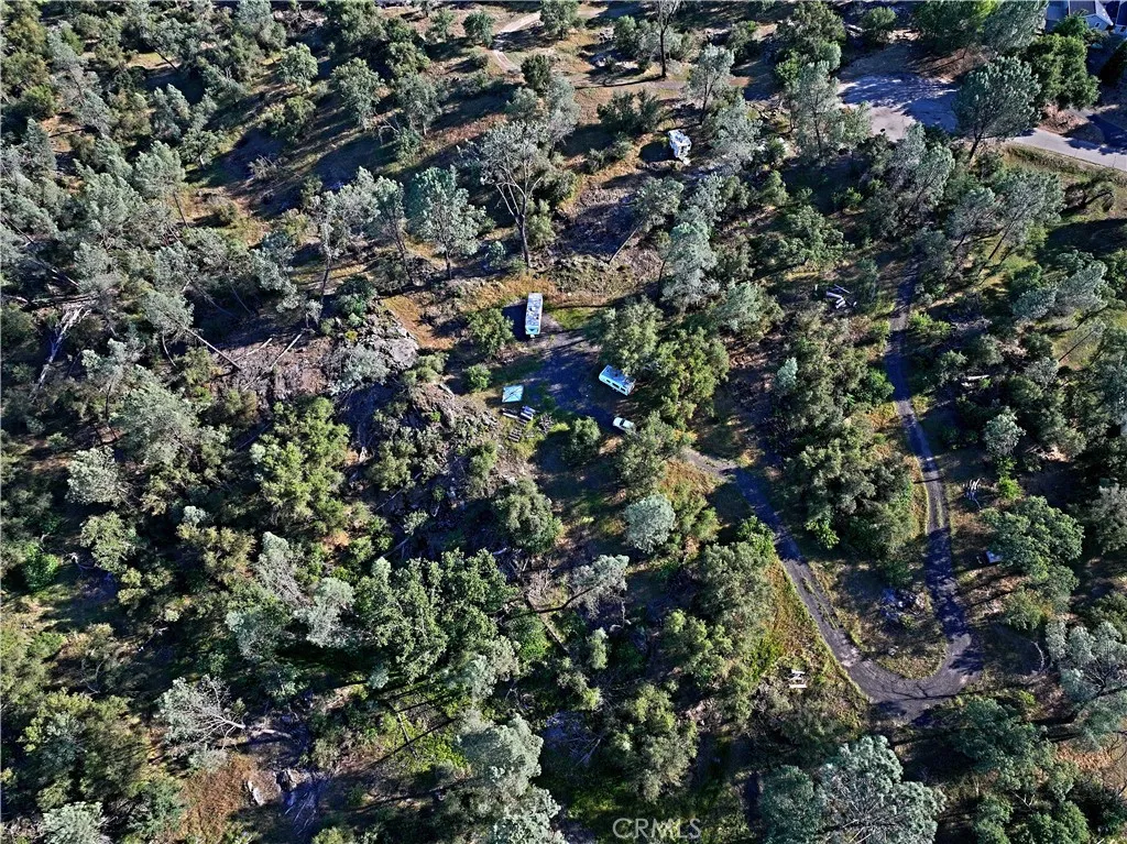 1 River Knolls Road Coarsegold, CA 93614 - Photo 1 of 14 a view of outdoor space and covered with trees