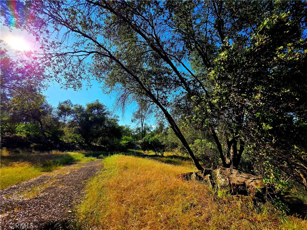 1 River Knolls Road Coarsegold, CA 93614 - Photo 11 of 14 a view of outdoor space and yard