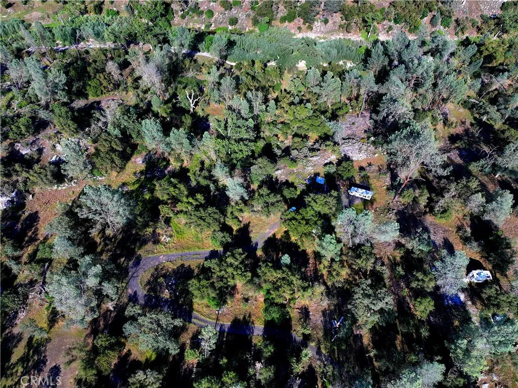 1 River Knolls Road Coarsegold, CA 93614 - Photo 13 of 14 a view of a house with a plant