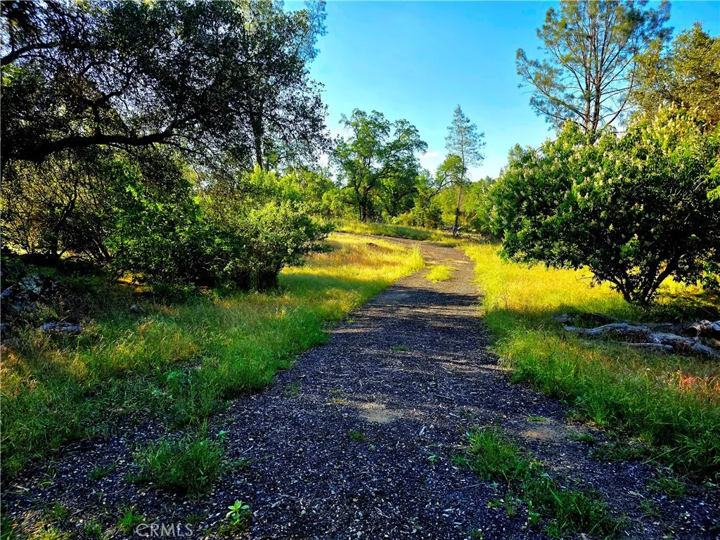 1 River Knolls Road Coarsegold, CA 93614 - Photo 2 of 14 a view of a lake with a yard