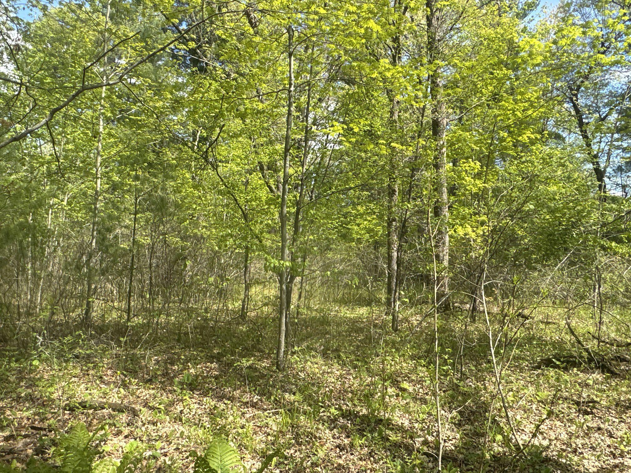 25275 Bruss Road Webster, WI 54893 - Photo 19 of 36