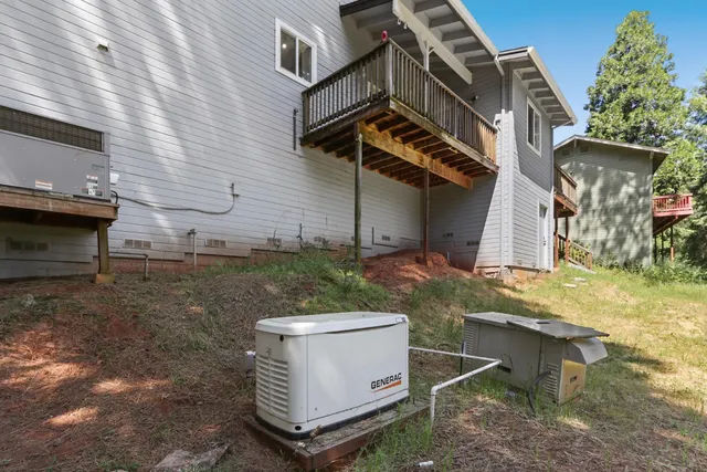 a close up of a plant in a garden