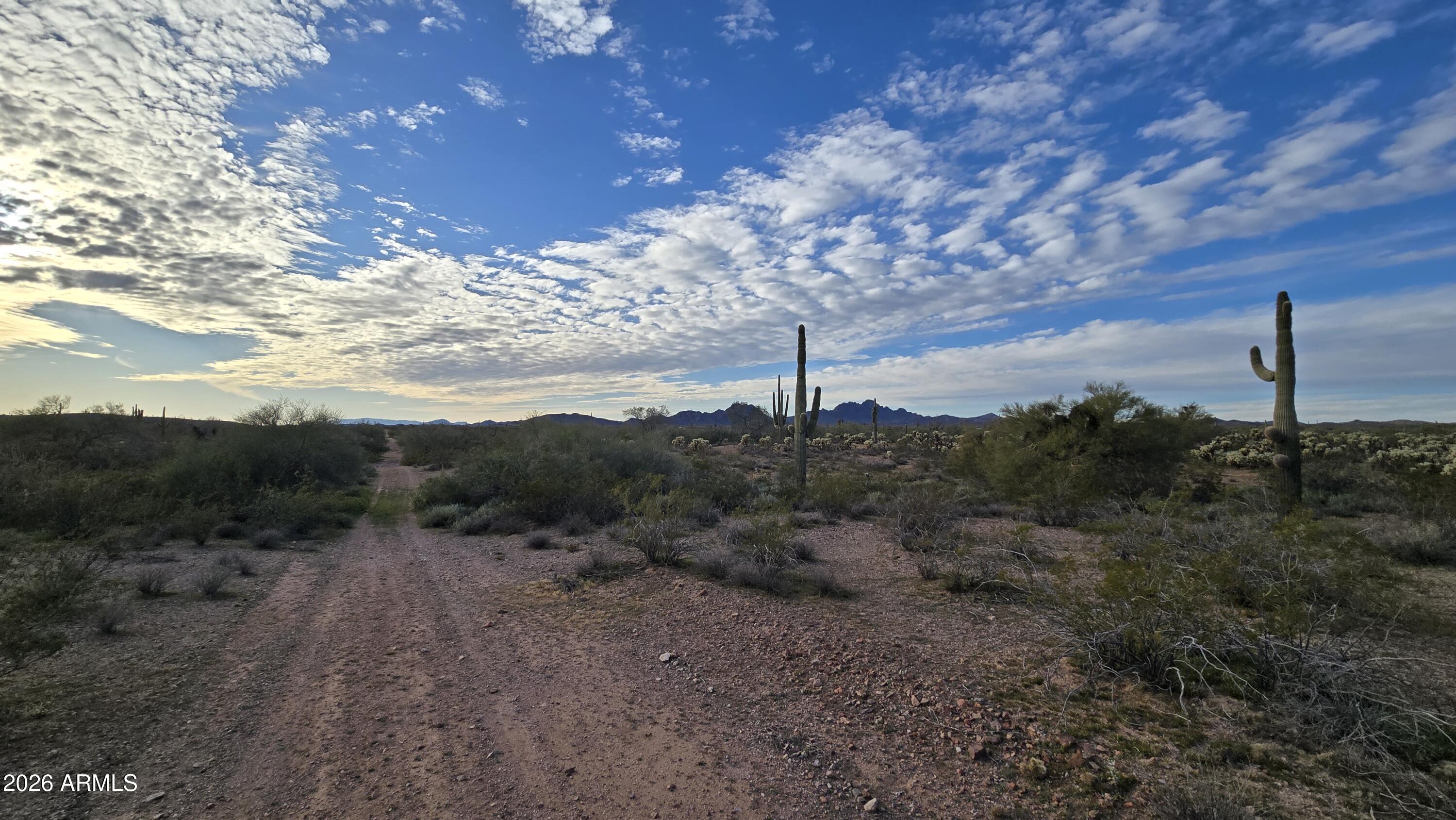 308-xx West Joy Ranch Road Wittmann, AZ 85361 - Photo 13 of 22 20260220_171145