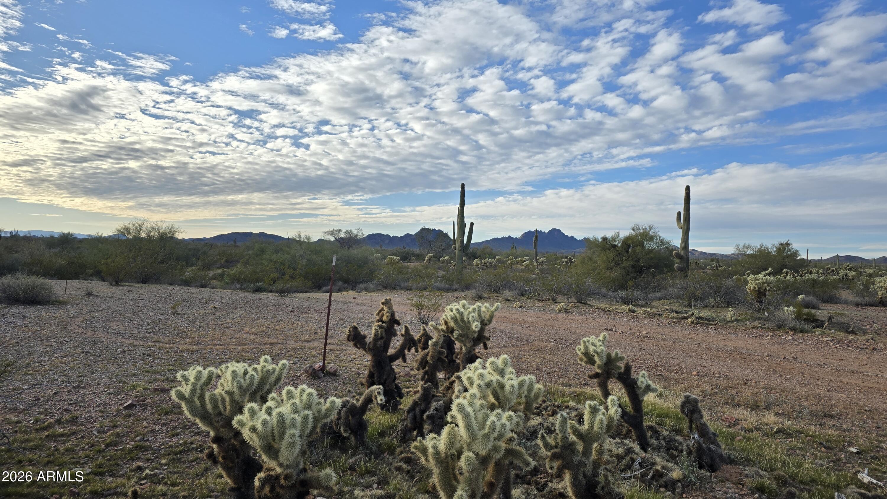 308-xx West Joy Ranch Road Wittmann, AZ 85361 - Photo 5 of 22 20260220_171014