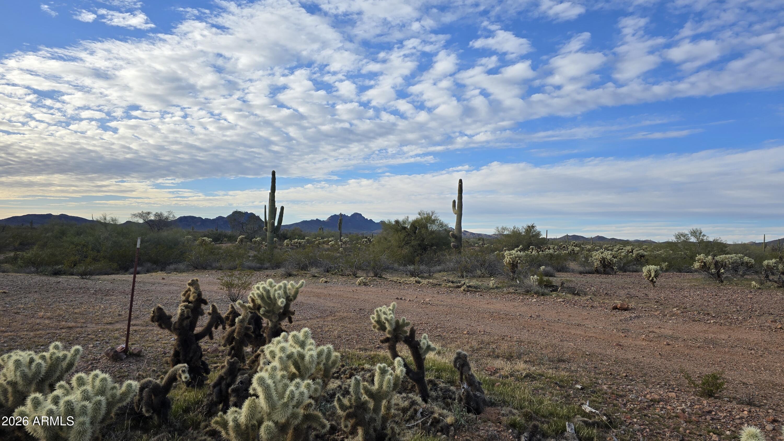 308-xx West Joy Ranch Road Wittmann, AZ 85361 - Photo 6 of 22 20260220_171016