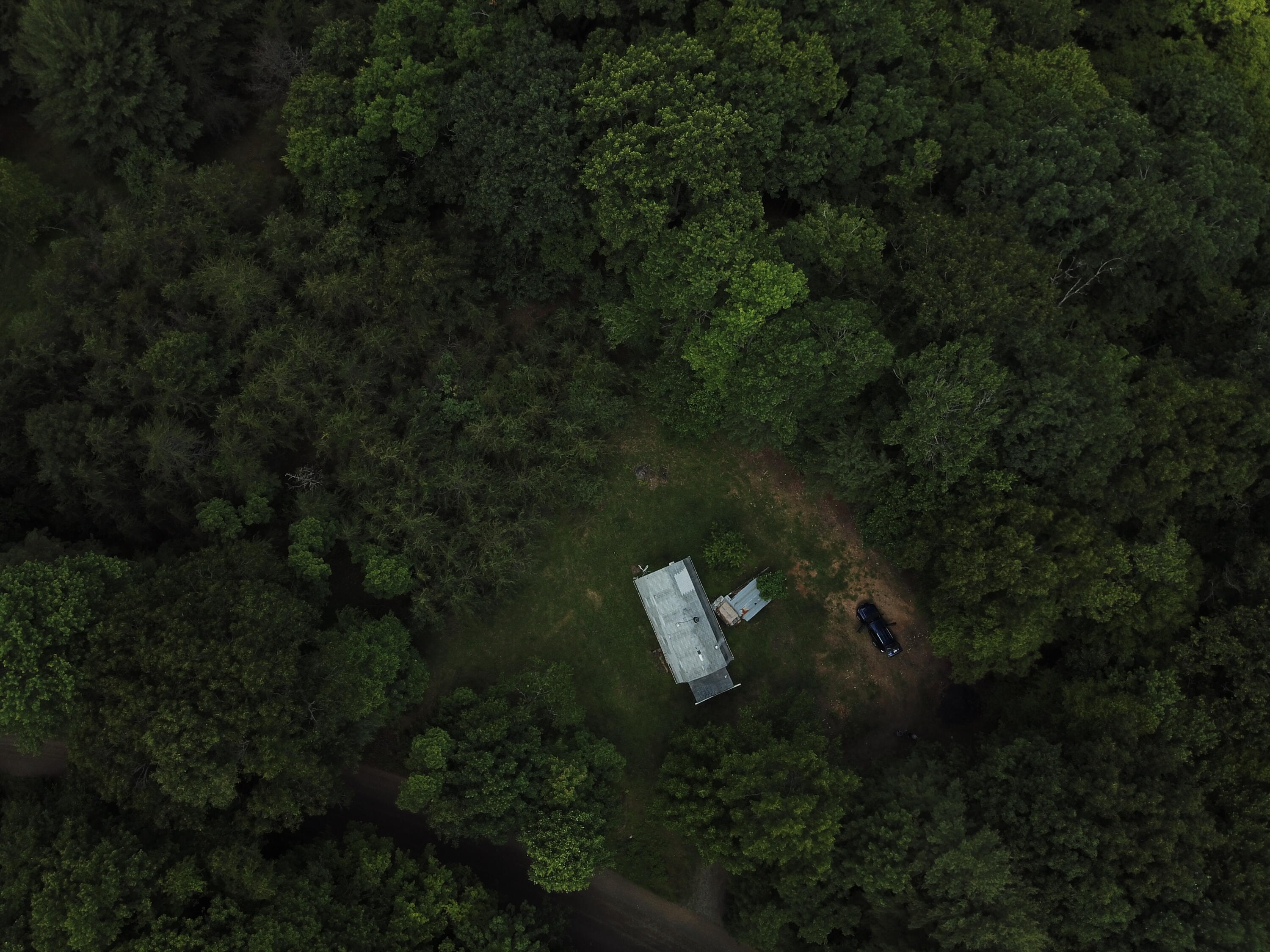 297 Reed Hill Road Northwest Floyd, VA 24091 - Photo 4 of 15 a view of a house with a yard