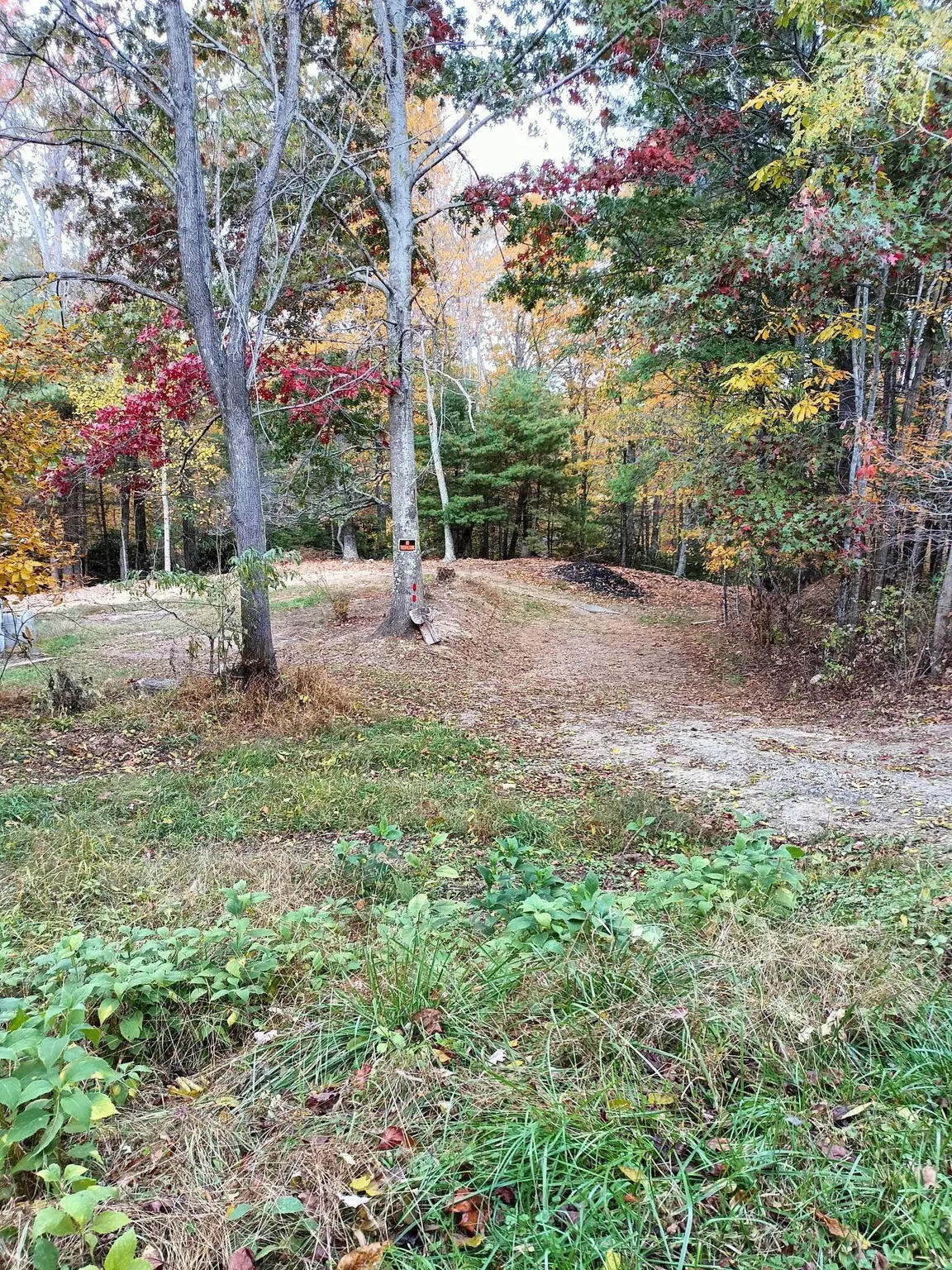 297 Reed Hill Road Northwest Floyd, VA 24091 - Photo 8 of 15 a backyard of a house with lots of green space