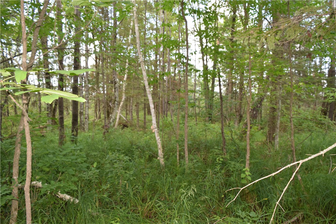 14 Old 14 Road Weyerhaeuser, WI 54895 - Photo 20 of 24