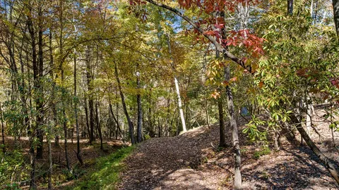 $2,899,000 | 184 Spence Road, Blue Ridge, GA 30513