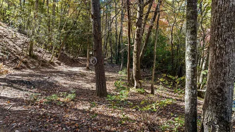 $2,899,000 | 184 Spence Road, Blue Ridge, GA 30513