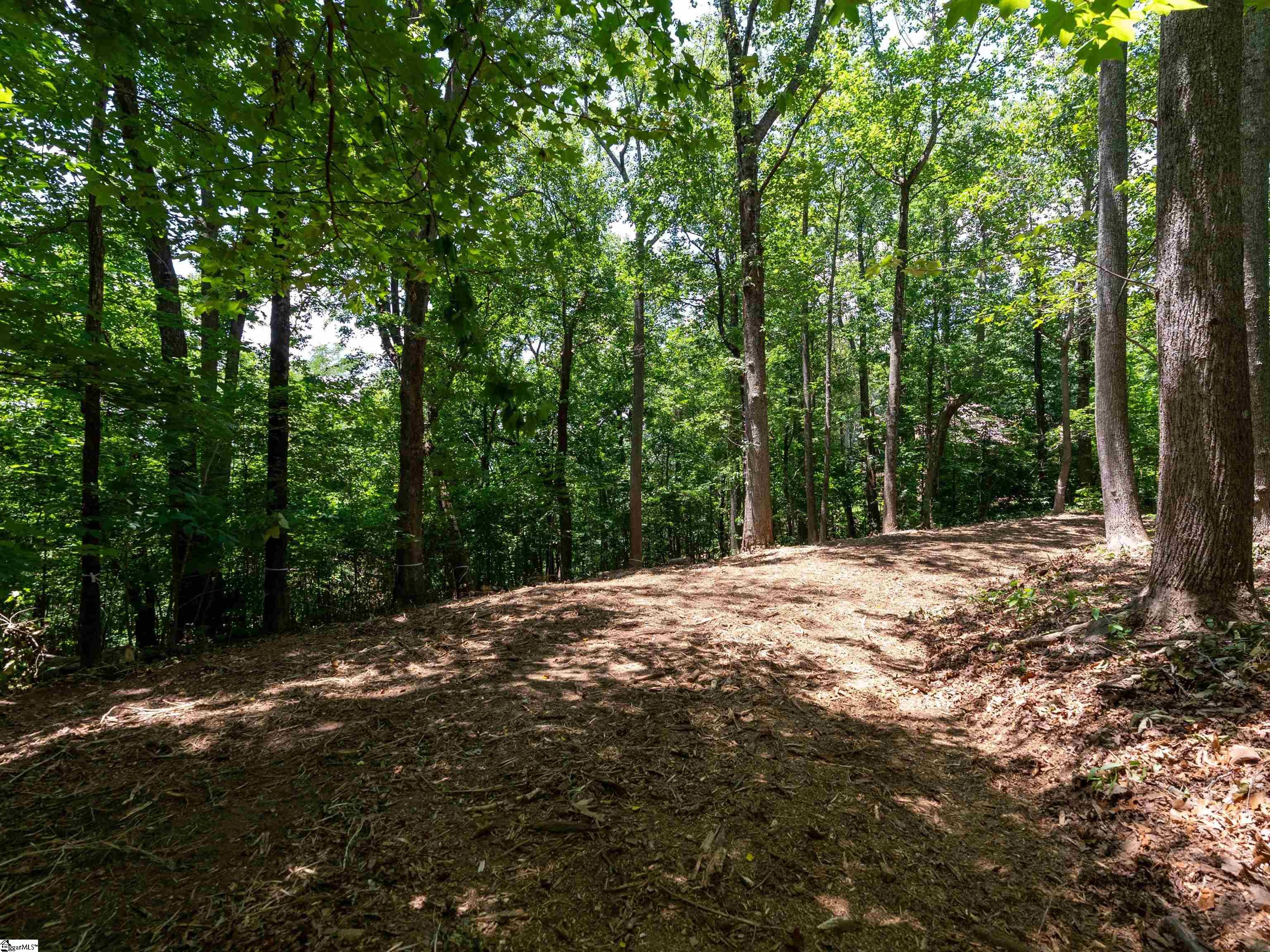 Lot 22 Plumley Summit Road Landrum, SC 29356 - Photo 16 of 27