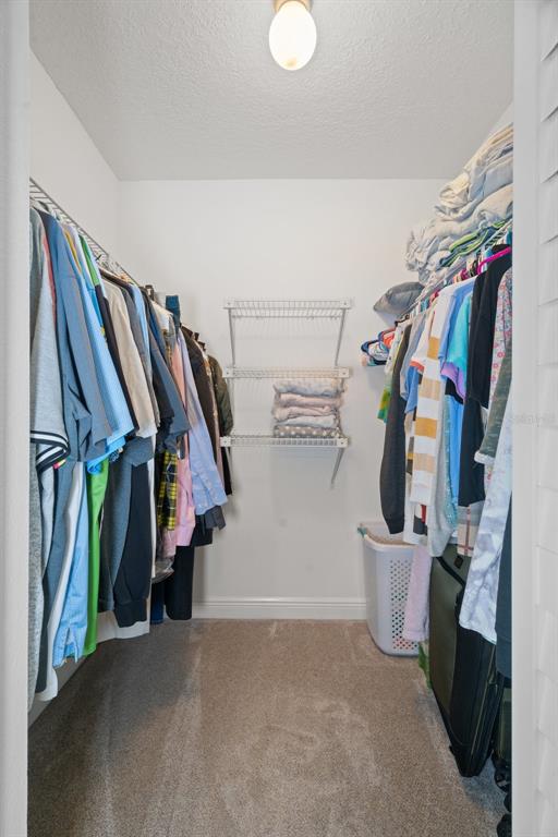 8130 Merrimac Drive Port Richey, FL 34668 - Photo 26 of 53 a view of walk in closet with clothes and shoes