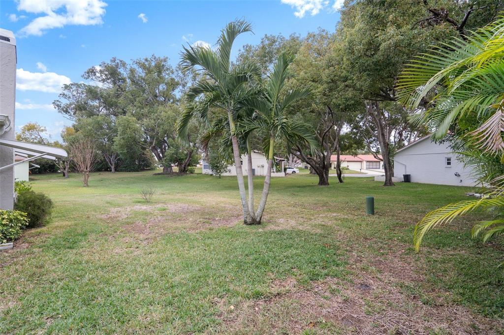 8130 Merrimac Drive Port Richey, FL 34668 - Photo 43 of 53 a view of a field with tree in the background