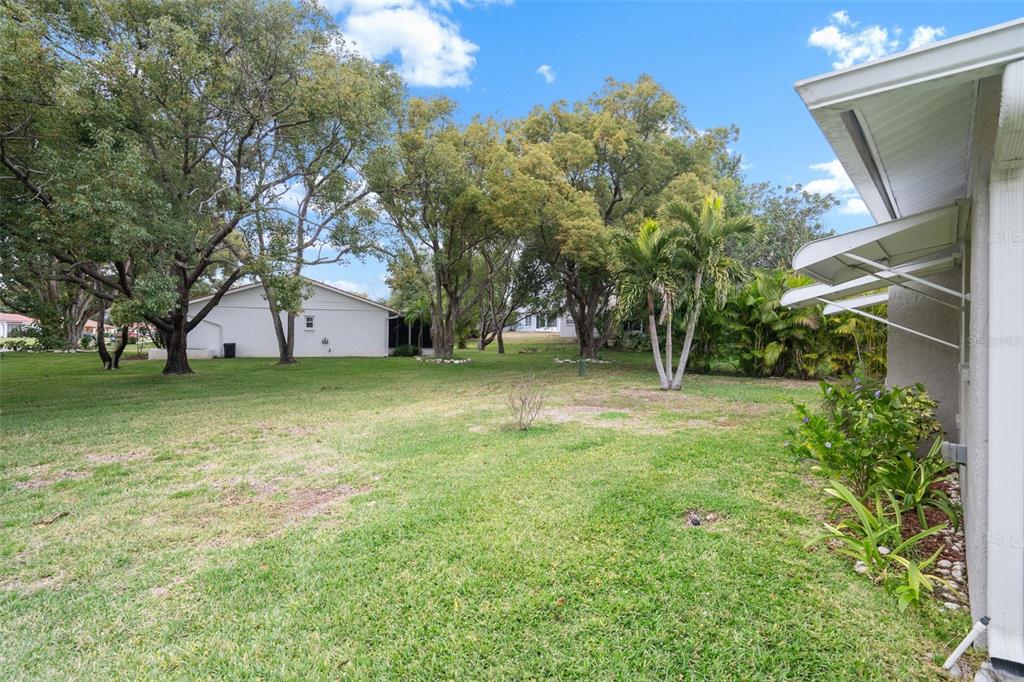 8130 Merrimac Drive Port Richey, FL 34668 - Photo 44 of 53 a view of a tree in front of a house