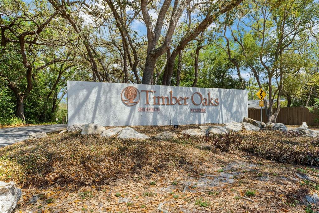 8130 Merrimac Drive Port Richey, FL 34668 - Photo 49 of 53 a view of outdoor space with garden and trees