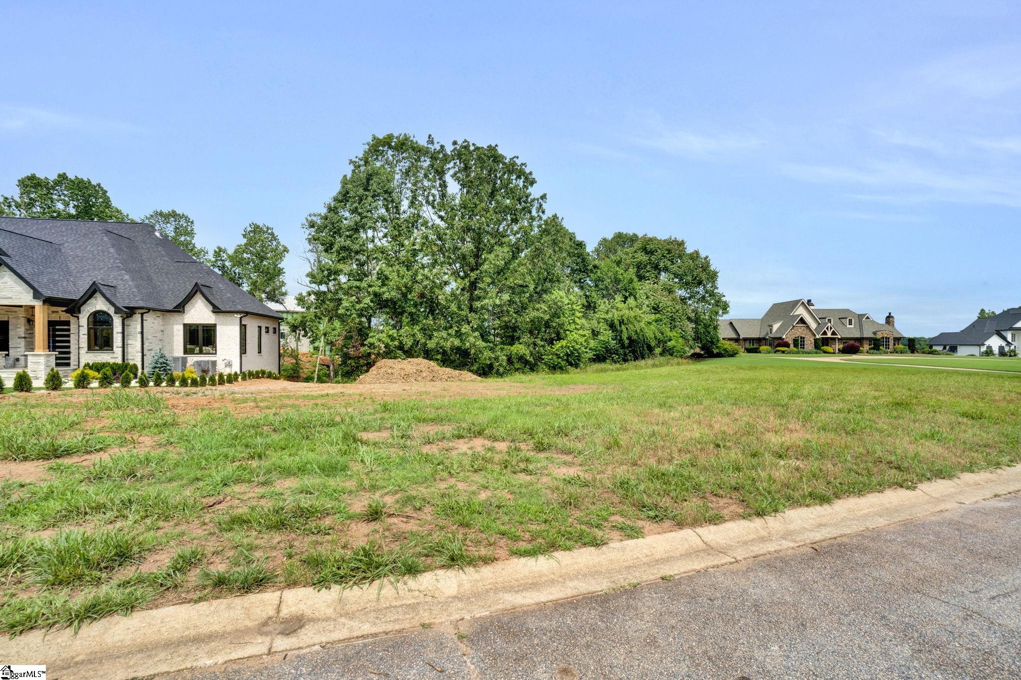 434 Tangleridge Court Inman, SC 29349 - Photo 3 of 9