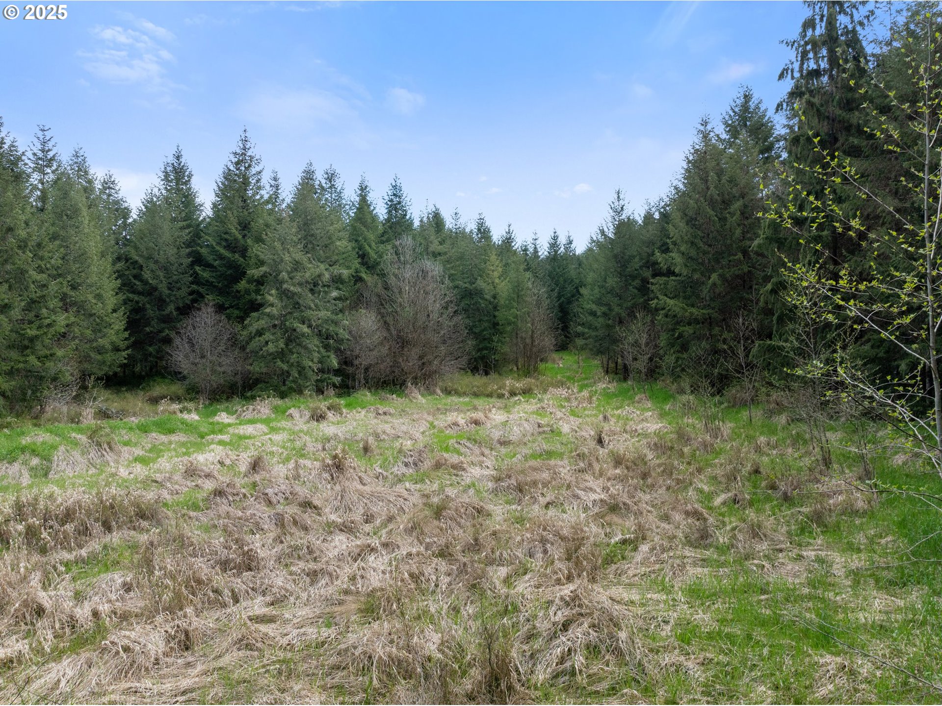 0 Tooley Road Toledo, WA 98591 - Photo 5 of 25 a view of a green field with trees in the background