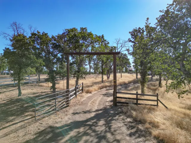 a view of a park with large trees