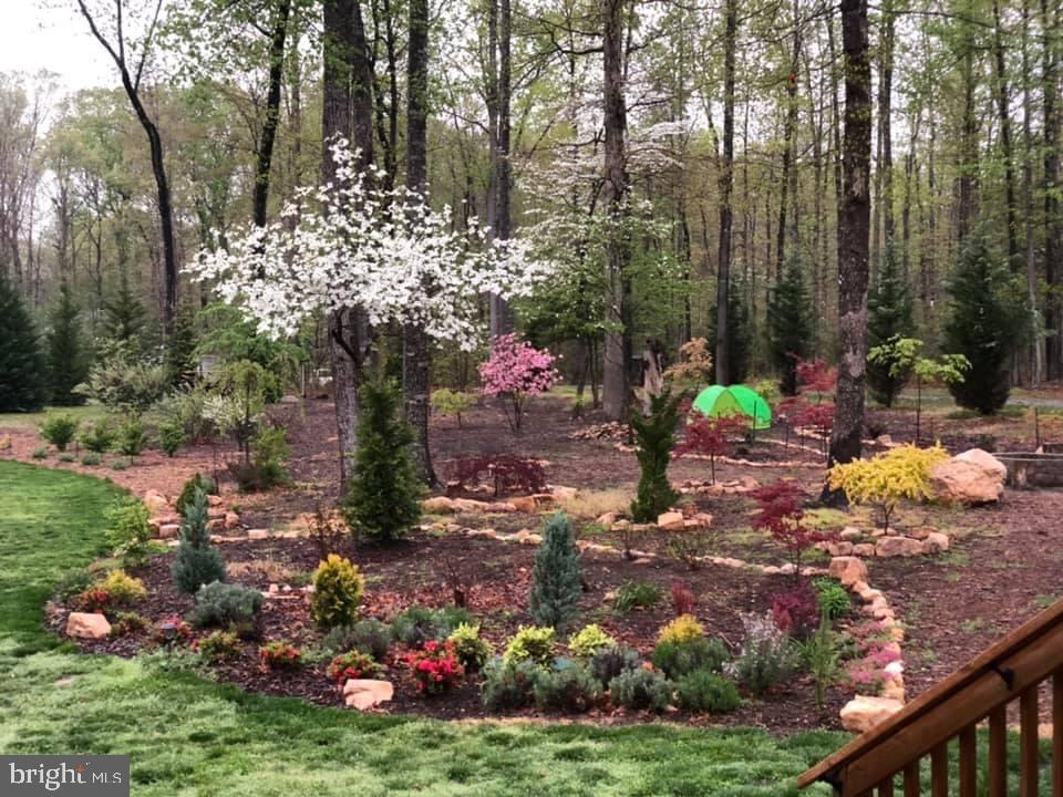 Backyard View leads to fire pit