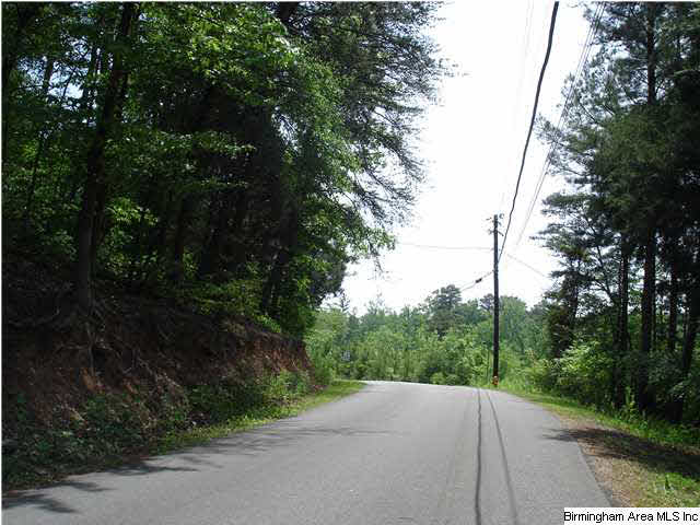 7595 McCombs Mill Road Pinson, AL 35126 - Photo 3 of 3