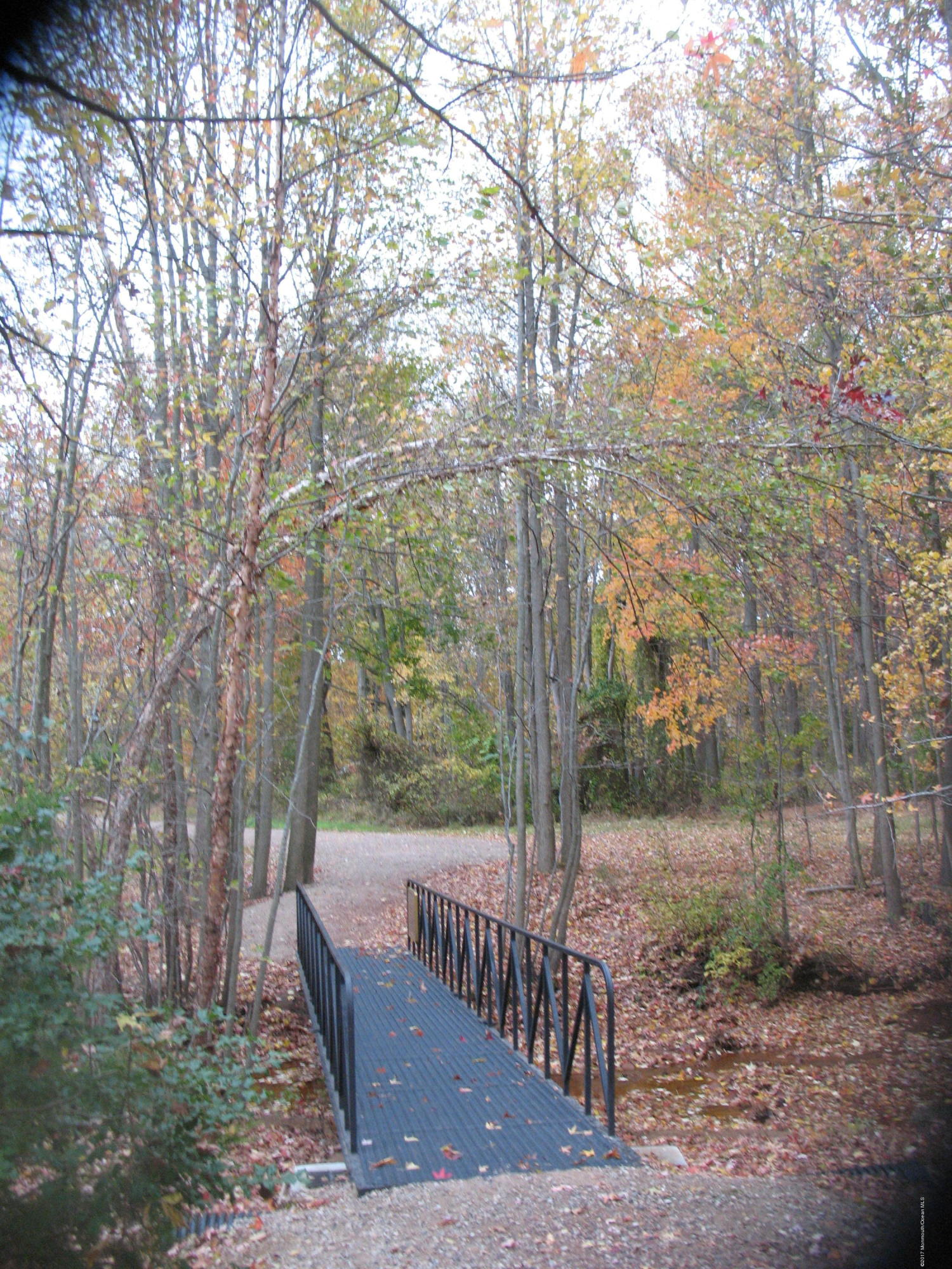 18 Becket Road Manalapan, NJ 07726 - Photo 38 of 61 Holiday Park