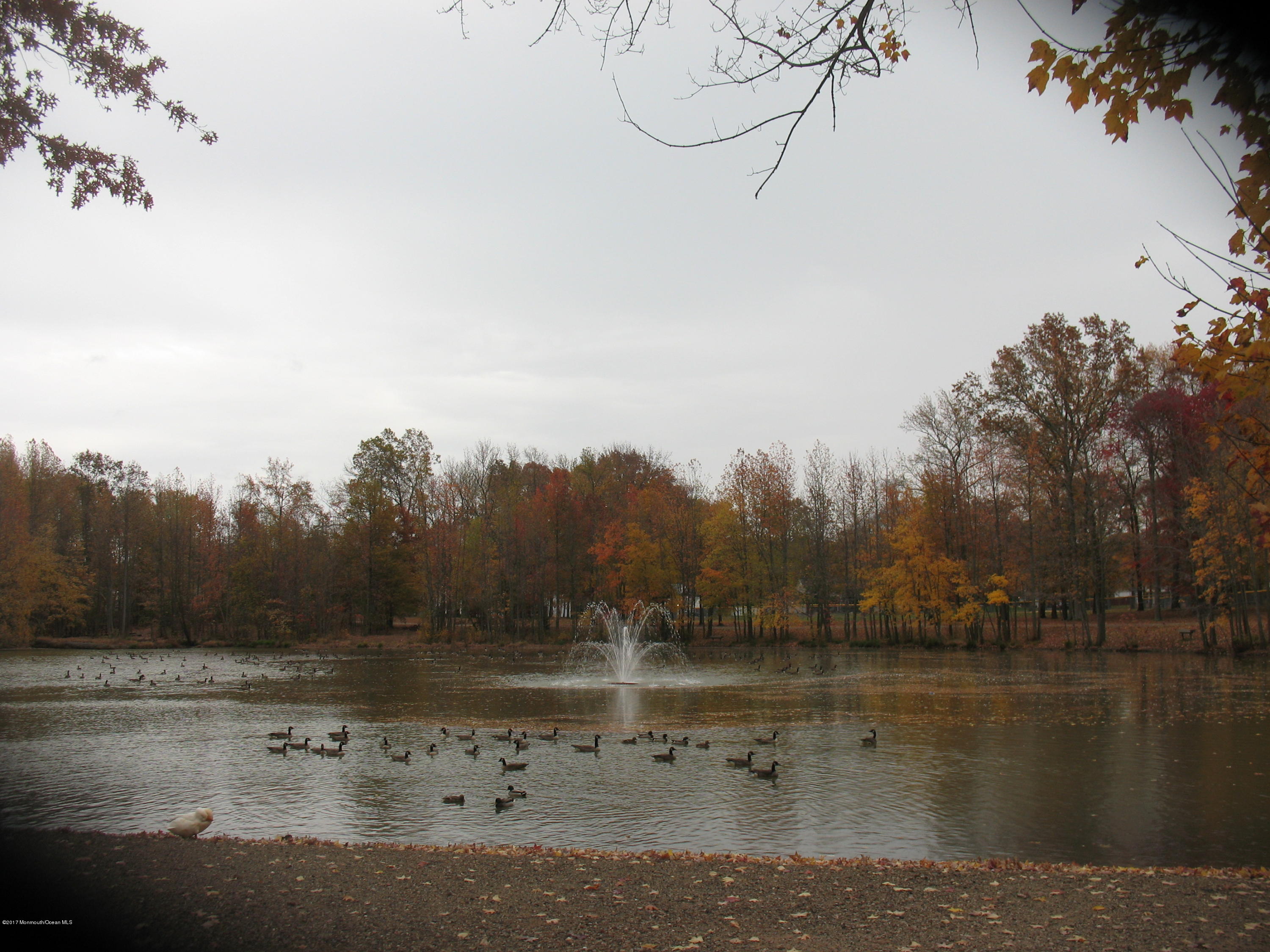 18 Becket Road Manalapan, NJ 07726 - Photo 39 of 61 Holiday Park Pond