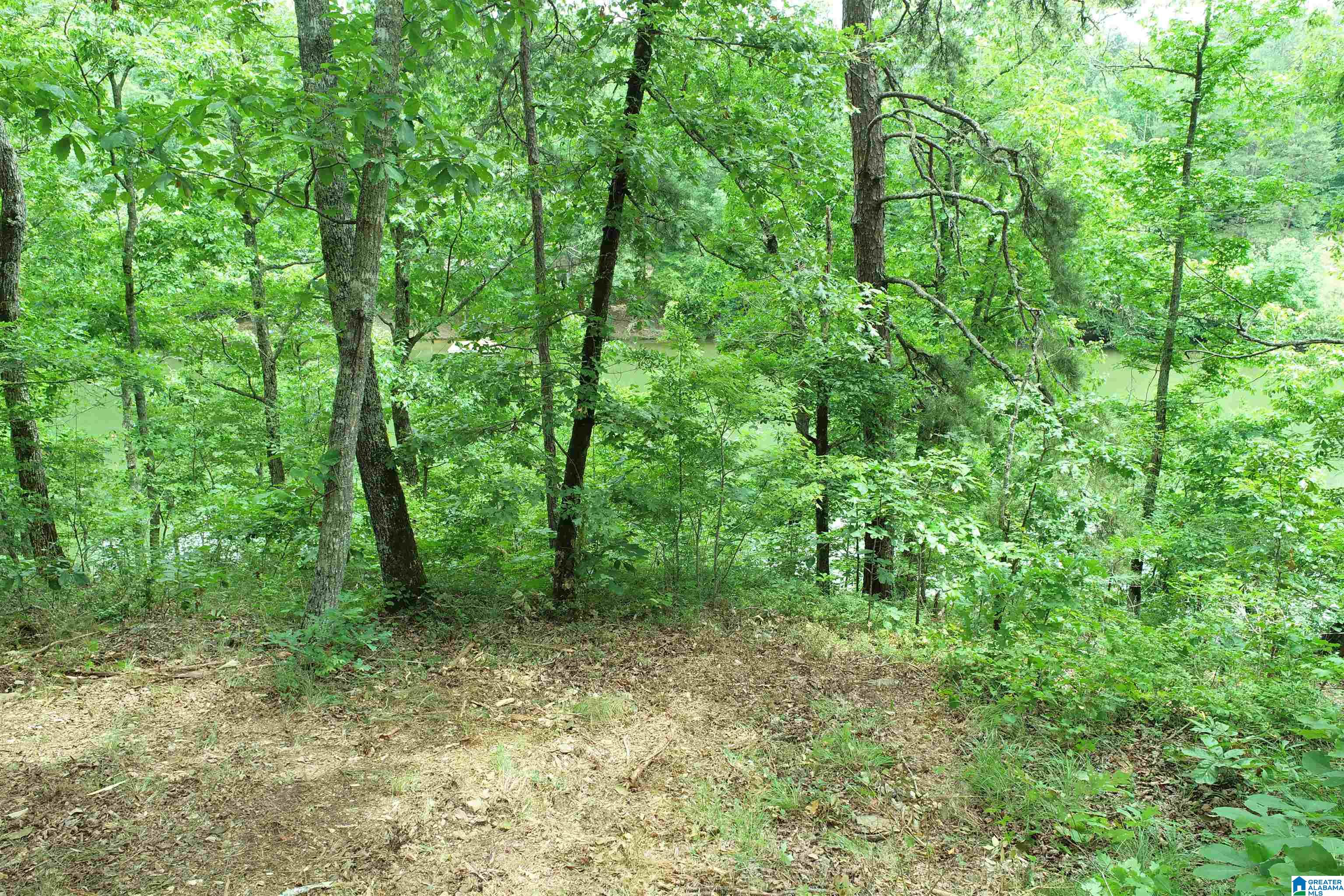 0 County Road 803, Unit 33 Wedowee, AL 36278 - Photo 13 of 14