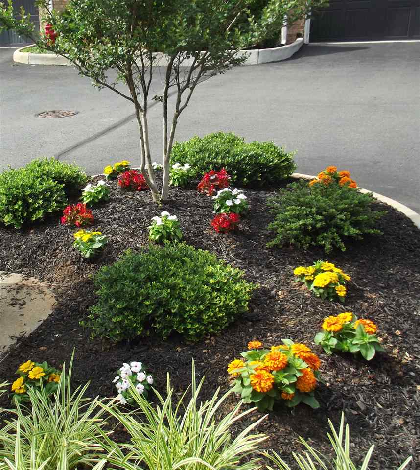 335 Quarry Road, Unit 20 Charlottesville, VA 22902 - Photo 29 of 29 Gallery Image 29