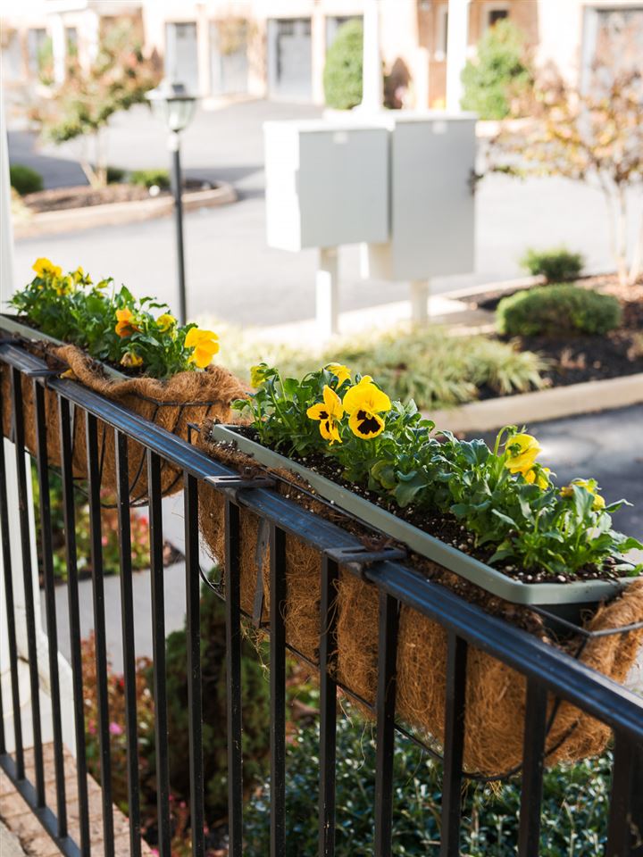 335 Quarry Road, Unit 20 Charlottesville, VA 22902 - Photo 3 of 29 Direct access to your mail and package box. Enjoy 2 dedicated parking spaces in front of your townhome.
